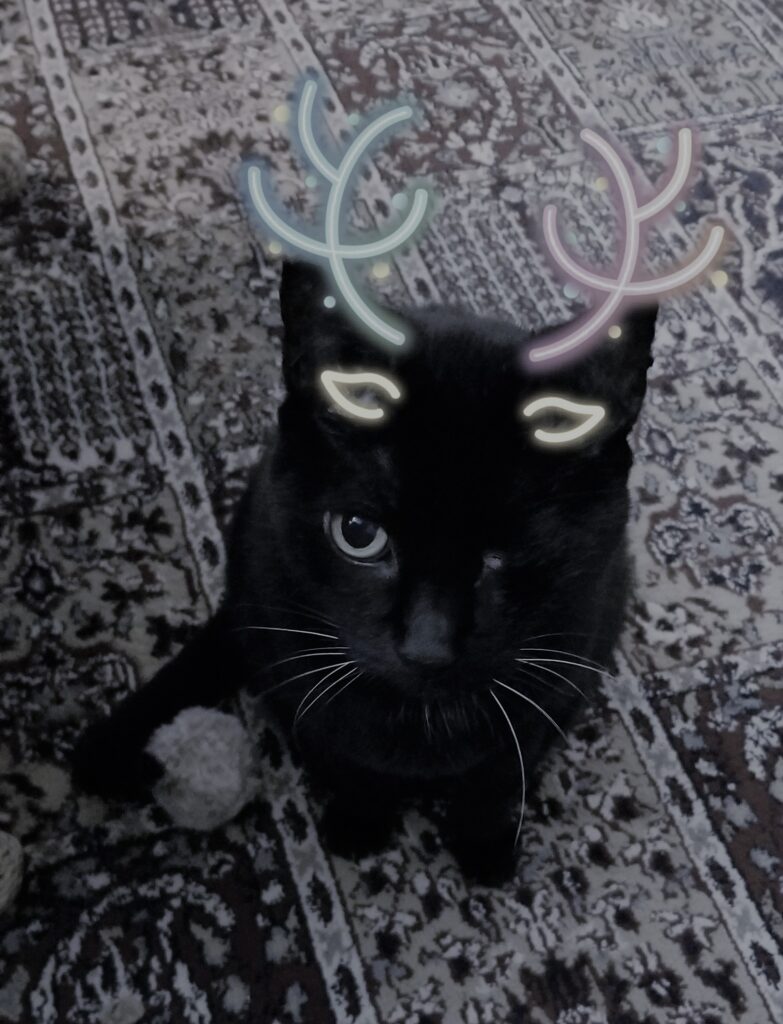 A black and white picture of an one-eyed black cat sitting on a carpeted floor, with a fur-covered cat toy ball by her tail. The cat is adored with neon reindeer antlers and ears.