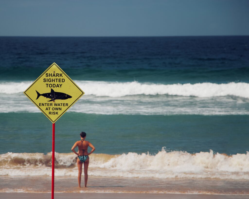 A white woman standing with her back to the beach in front of waves coming to shore. A yellow sign in the foreground has an illustration of a shark and states "Shark sighted today - enter water at own risk".